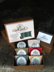 set of 12 sample packets, 1 of each milk paint color