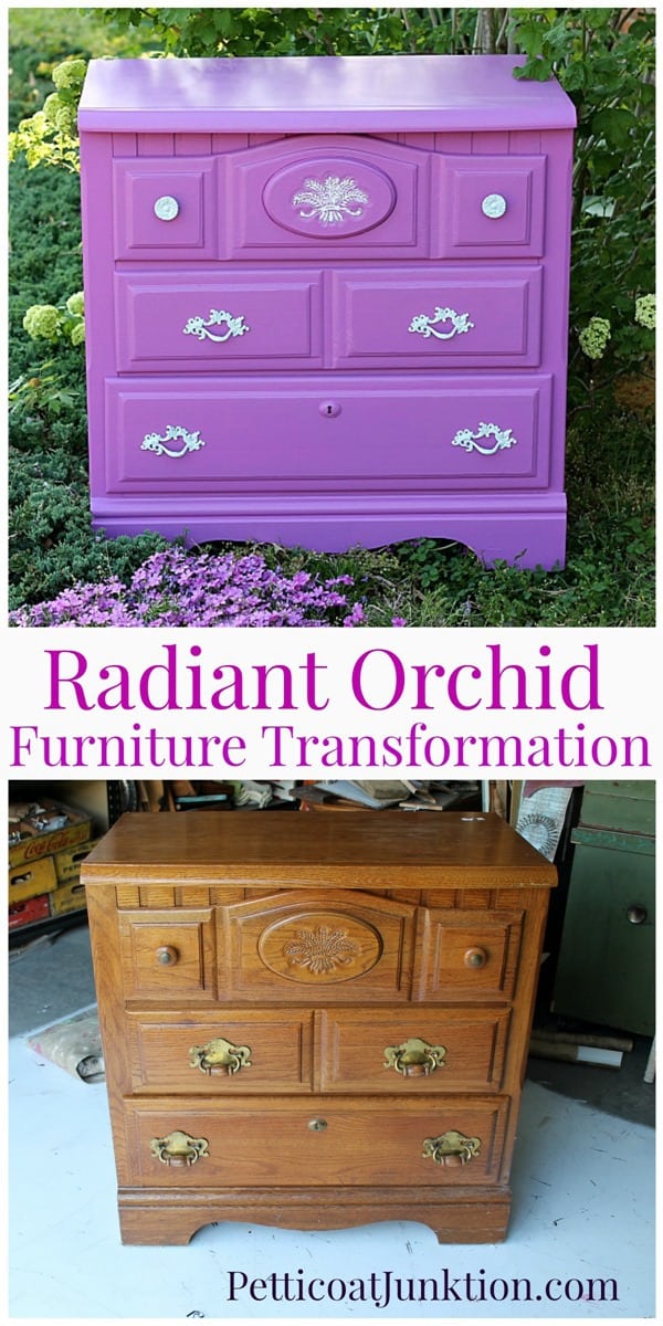 ion radiant orchid