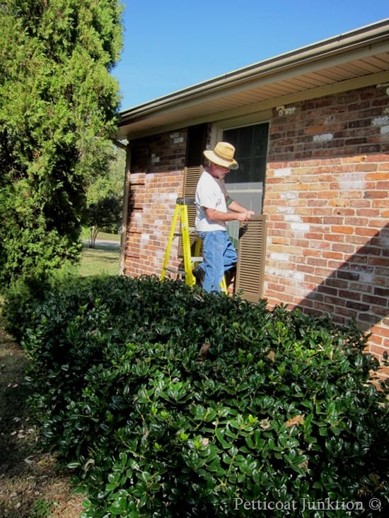 How to Paint Shutters, Petticoat Junktion