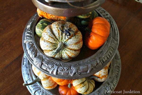 pumkin display