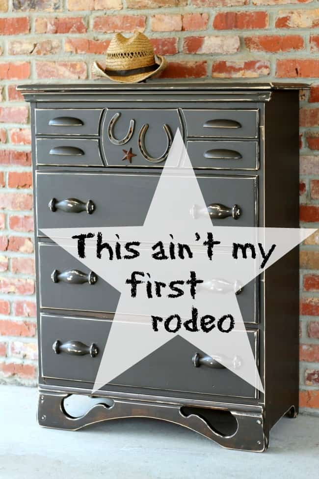 this ain't my first rodeo cowboy themed furniture