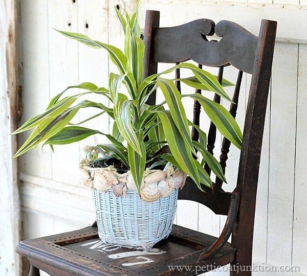 plant basket decorated with seashells Petticoat Junktion DIY