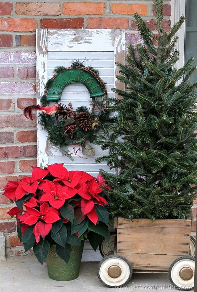 Poinsettia-Fir-Tree-And -Vintage Christmas Decor Petticoat Junktion