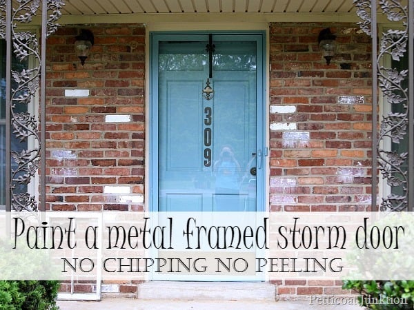 painted metal framed storm door Petticoat Junktion no chipping no peeling