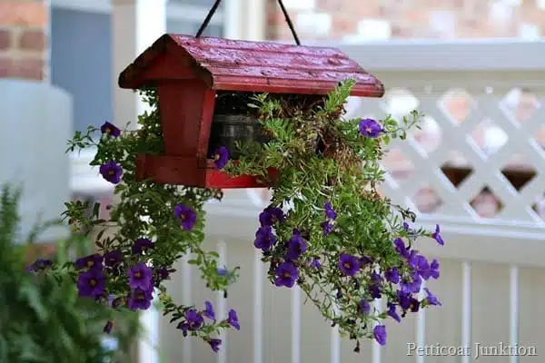 DIY hanging flower planter not for the birds Petticoat Junktion
