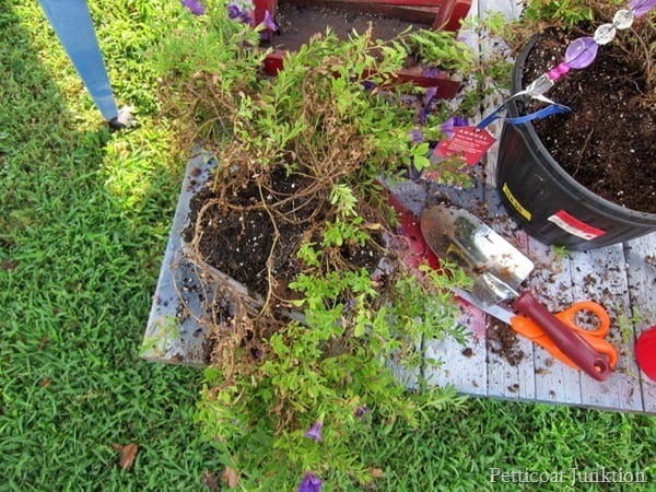 turn a bird feeder into hanging flower planter Petticoat Junktion