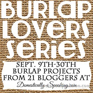 Burlap Series Image