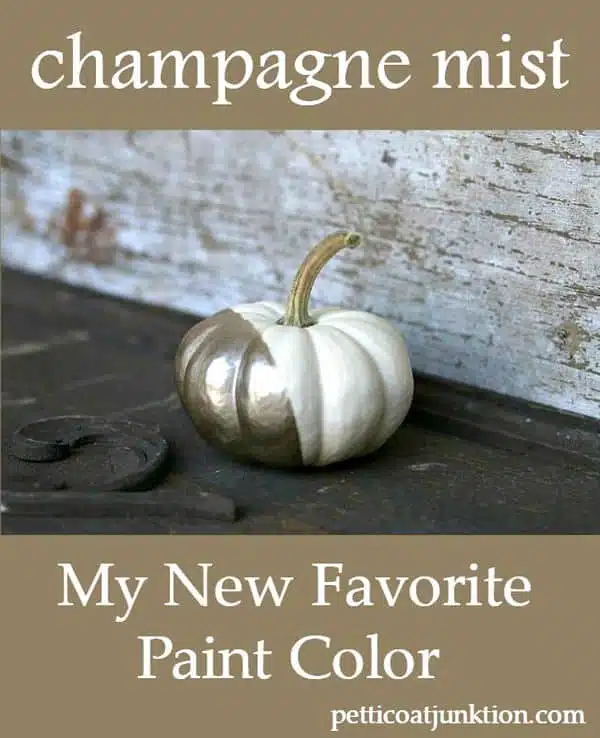 Rustoleum Champagne Mist Paint Color Petticoat Junktion project 1