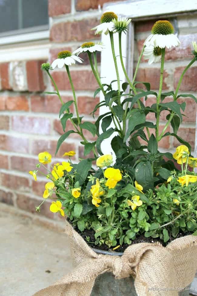 well loved bucket makes a cool flower pot Petticoat Junktion 1