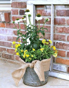 well-loved-bucket-makes-a-cool-flower-pot-Petticoat-Junktion-diy-2.jpg