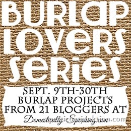 Burlap Series Image