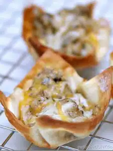 cropped-favorite-Cheesy-Sausage-Wonton-Appetizers-Petticoat-Junktion-party-recipes-8_thumb.jpg