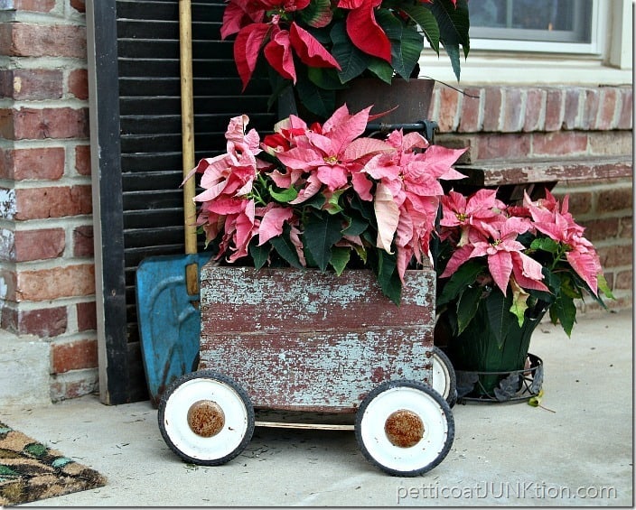 pink poinsettias Petticoat Junktion Merry Christmas from my front porch