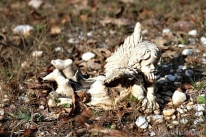 Ceramic-Cherub-Owen-Cemetery-Arkansas-Petticoat-Junktion-photo.jpg