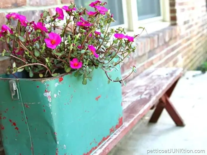 Fun Finds Make Great Flower Planters