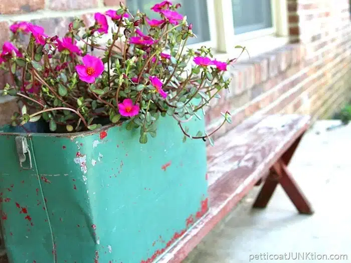Fun Junky Finds Make Great Flower Planters Petticoat Junktion