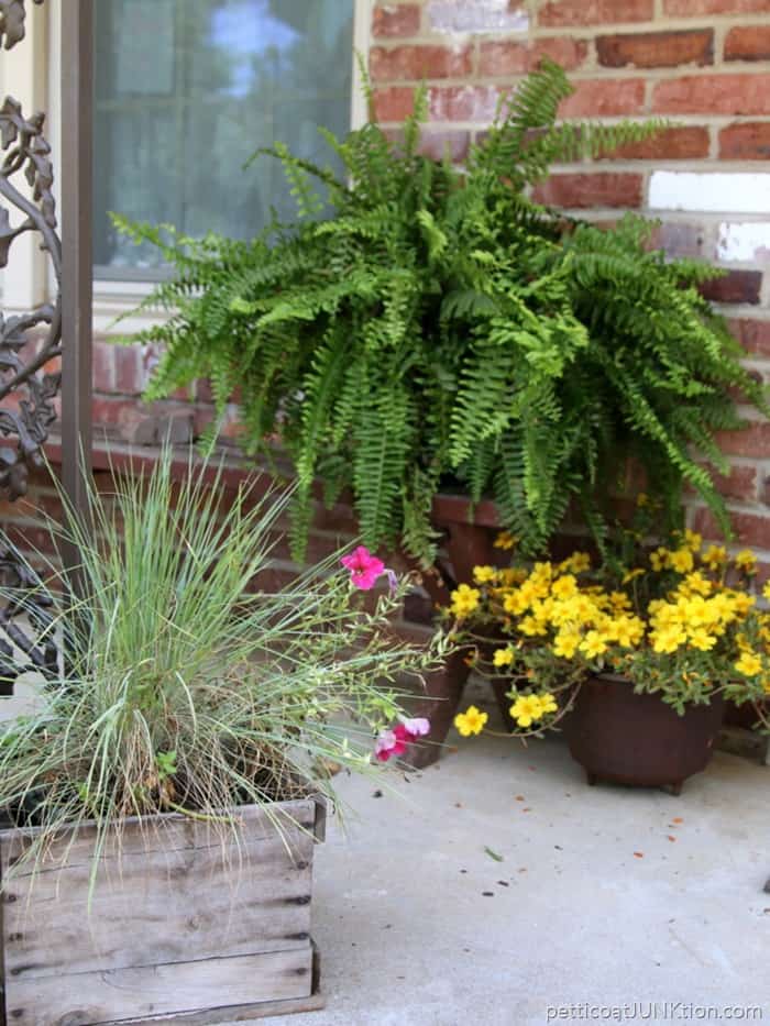 Fun flower planter and containers