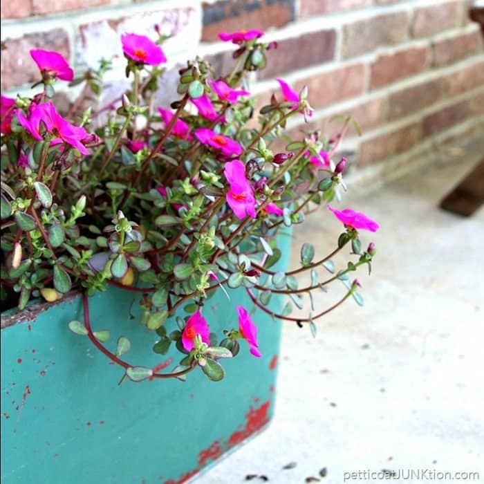 ice chest upcycled planter