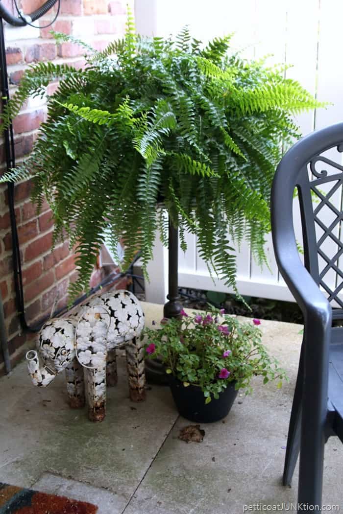 wrought iron fern stand