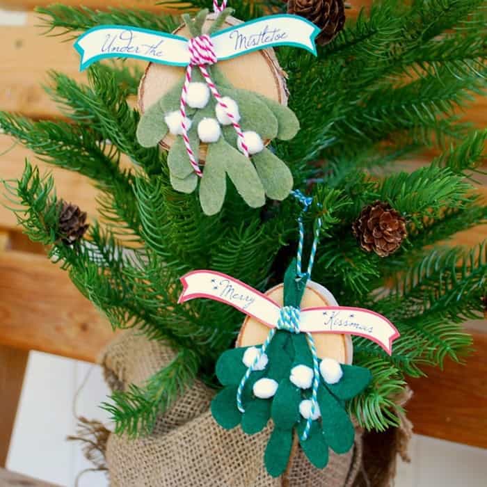 DIY-Mistletoe-Christmas-Ornaments-by-The-Silly-Pearl-1024x1024