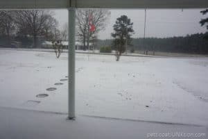 Arkansas snowstorm