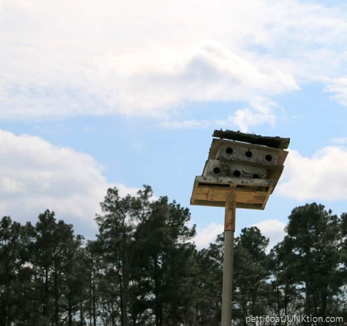 Arkansas Story bird house