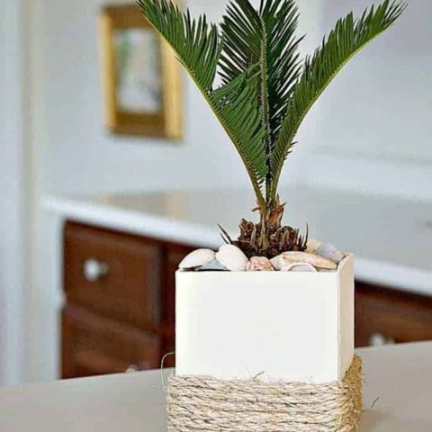 Sisal-Rope-Planter-Brings-A-Bit-Of-Florida-Home.jpg