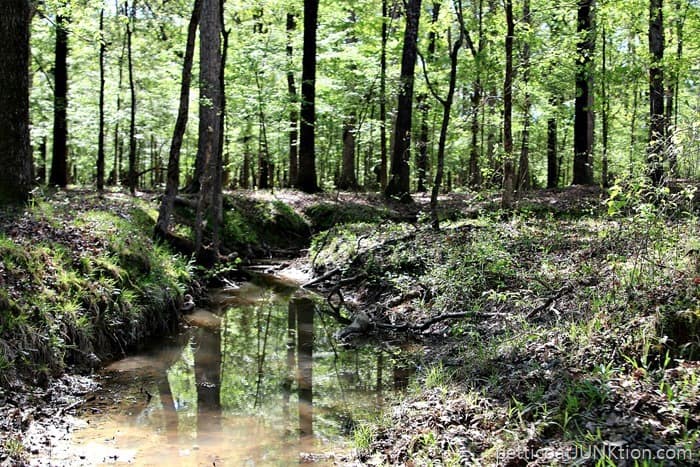 Arkansas on the farm