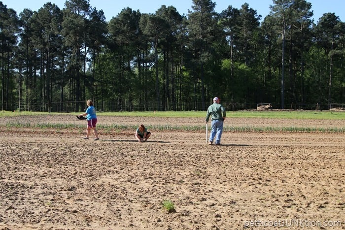 Team Owen Plants The Garden