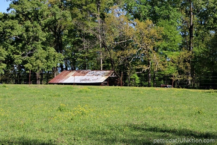 farm scenes