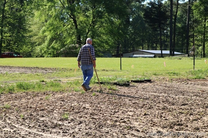 my Dad and his garden