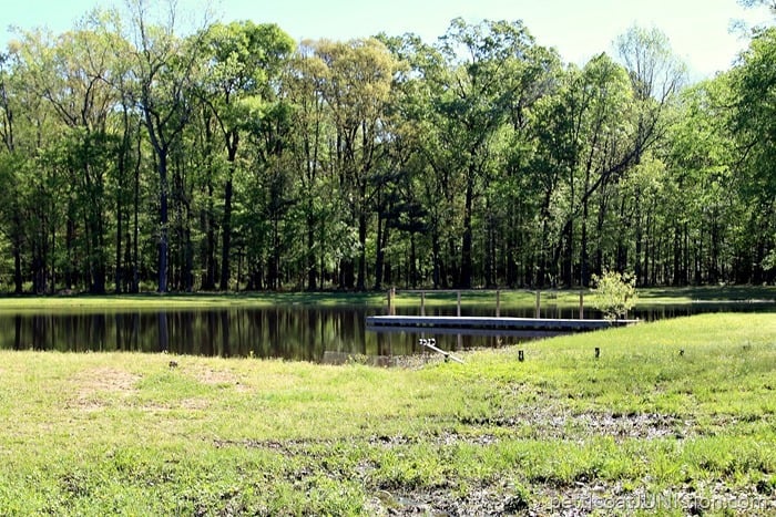 pond on the farm