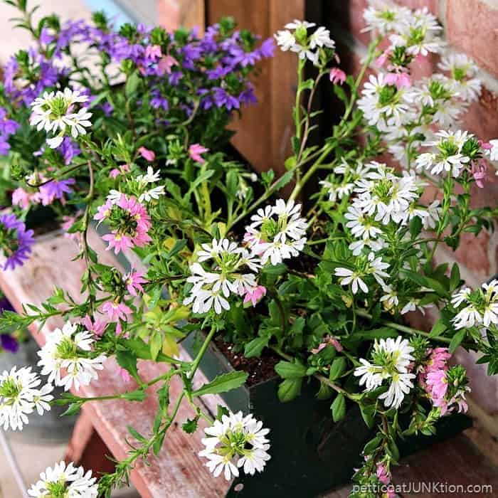 rusty containers and pretty flowers for the porch