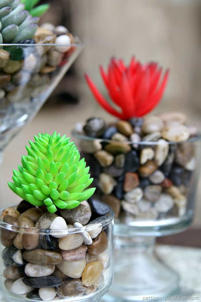 Thrift Store Decor: DIY Succulents Display Idea