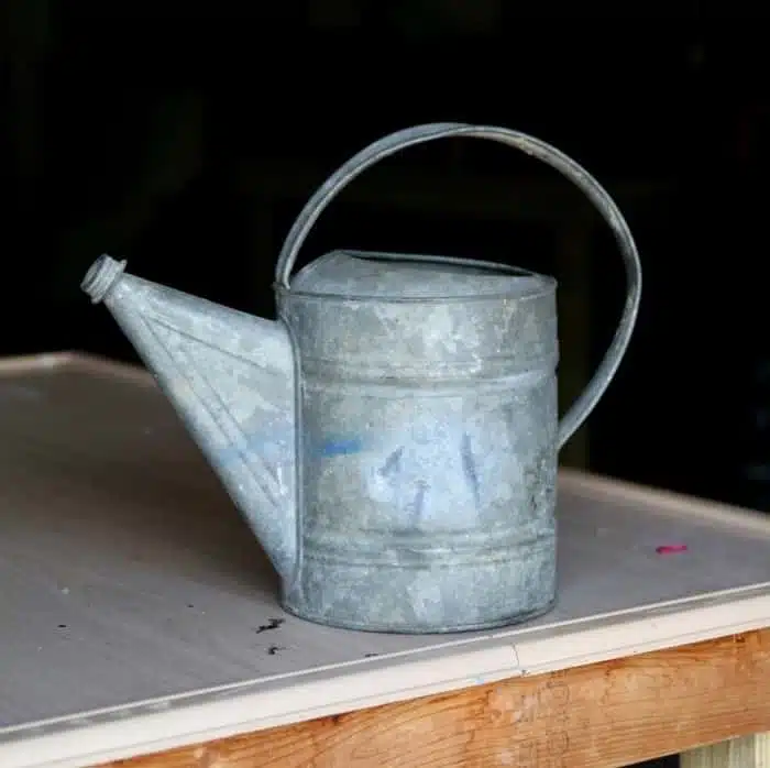 junky galvanized tin watering can