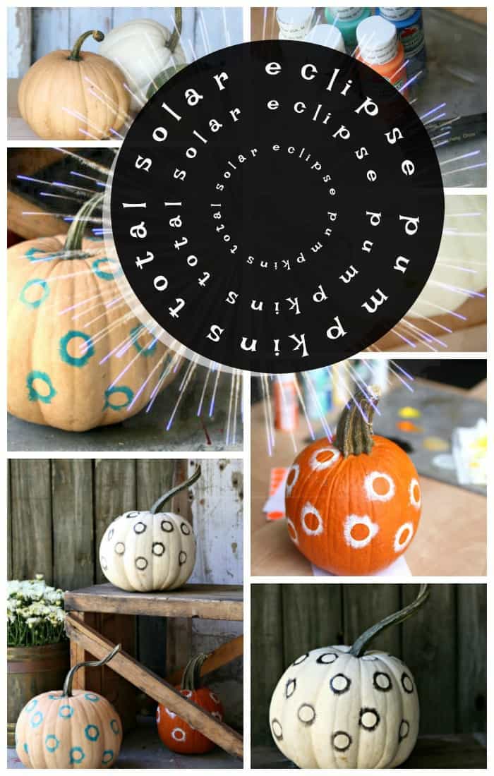 solar eclipse pumpkins project