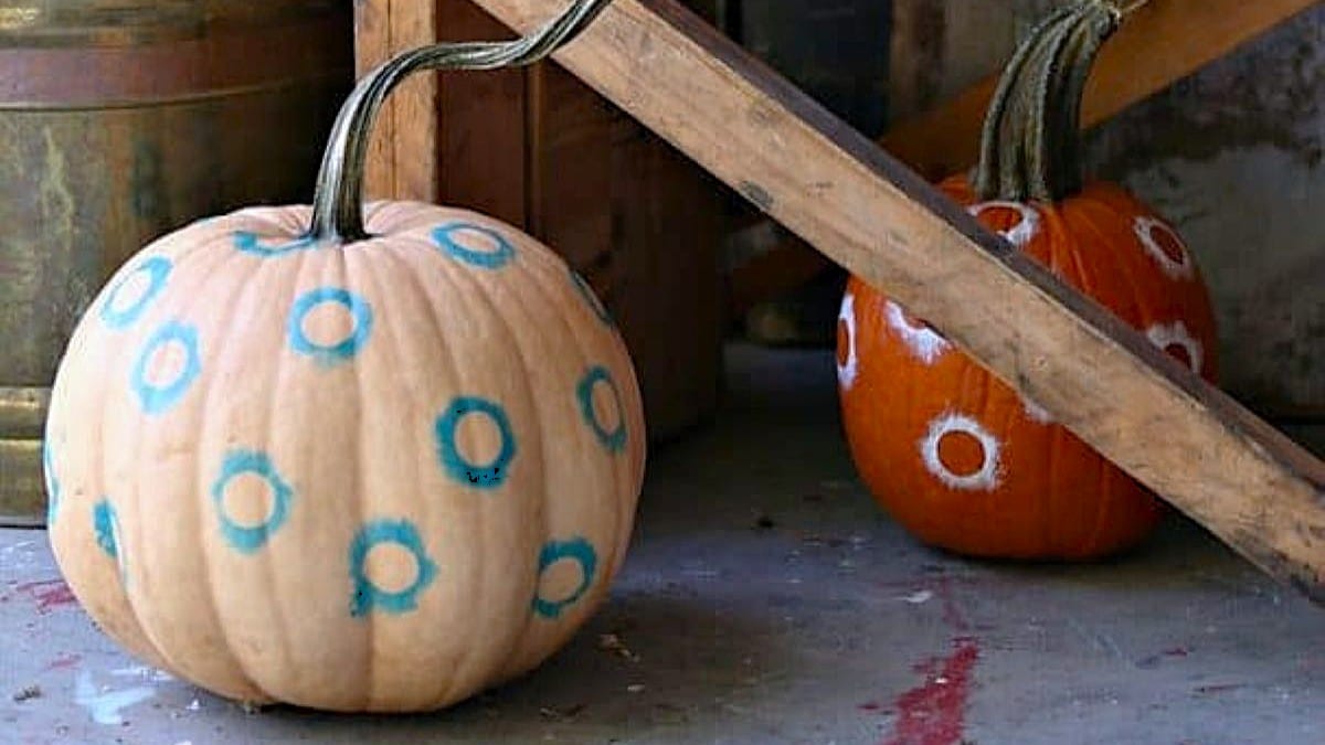 paint pumpkins for science week total eclipse style