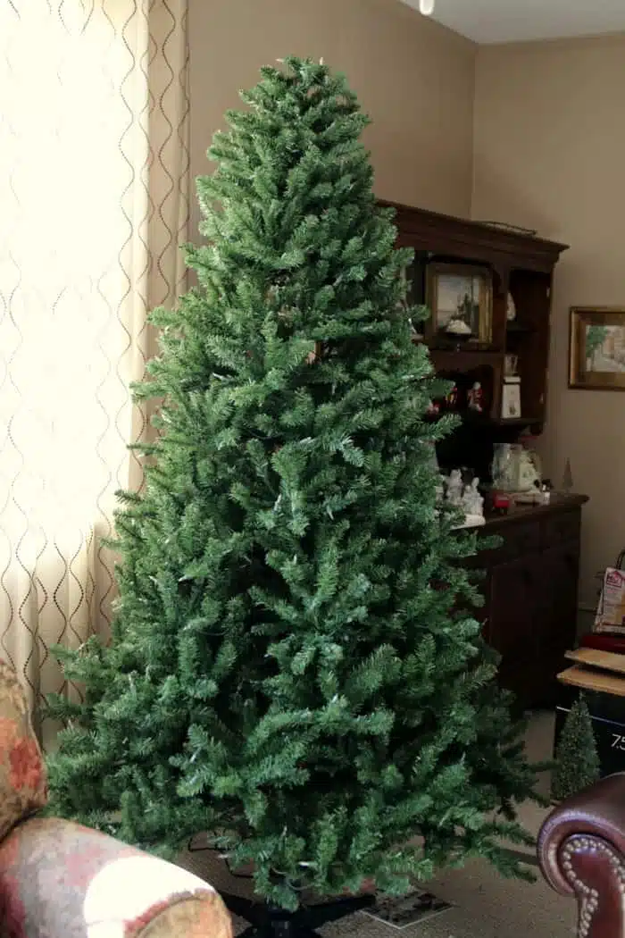 tree no decorations