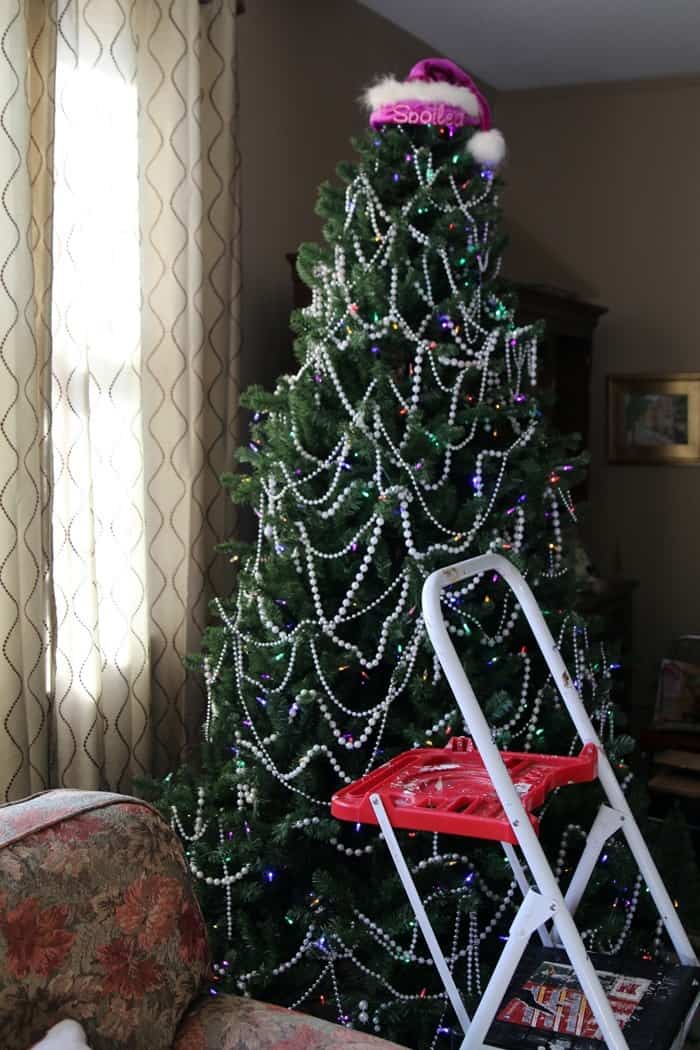 tree with santa hat topper