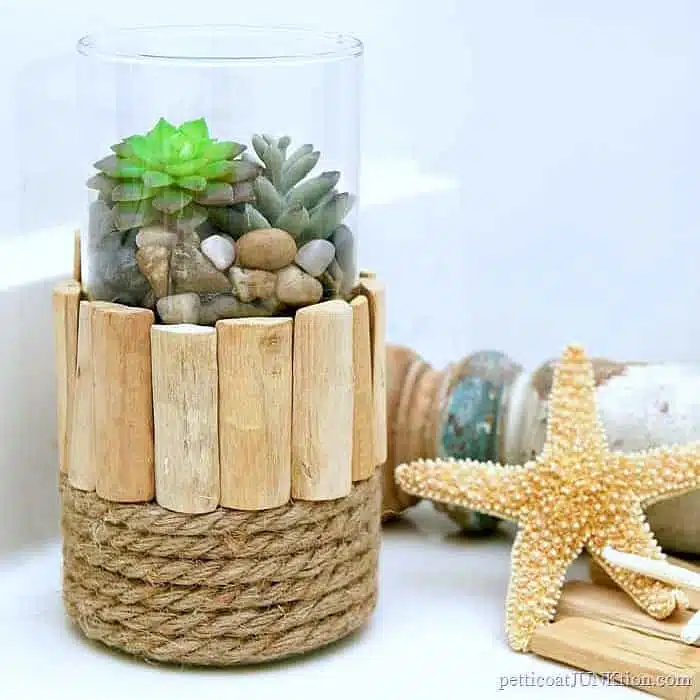 Nautical Style Succulent Plant Display