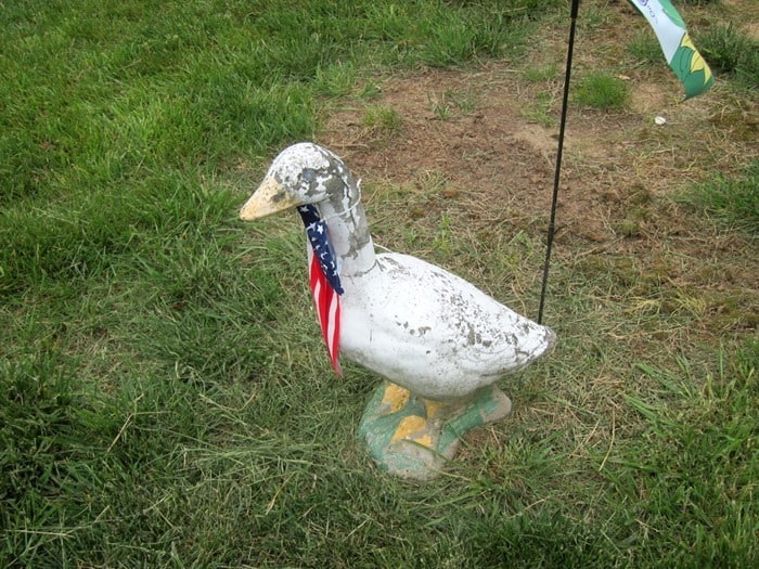 The Vintage Concrete Goose Statue I Repainted For My Neighbor