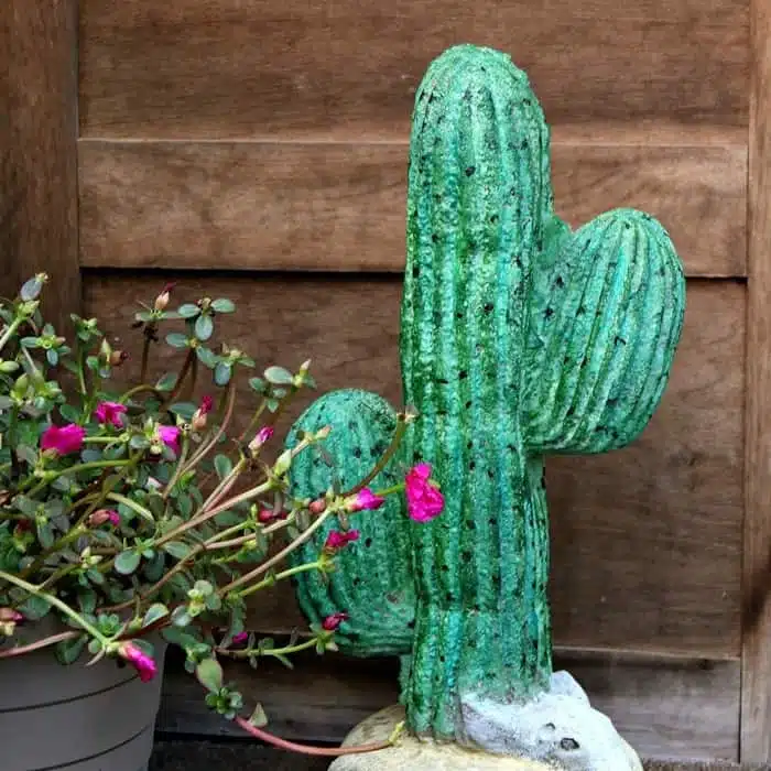 How To Paint A Concrete Cactus Using Watercolors