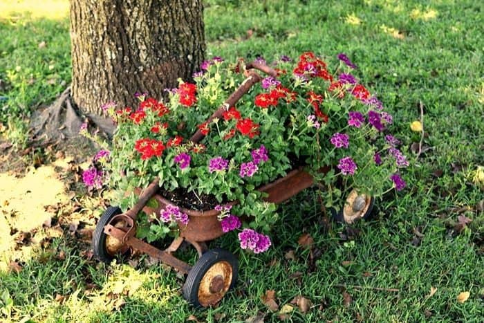 rusty wagon planter