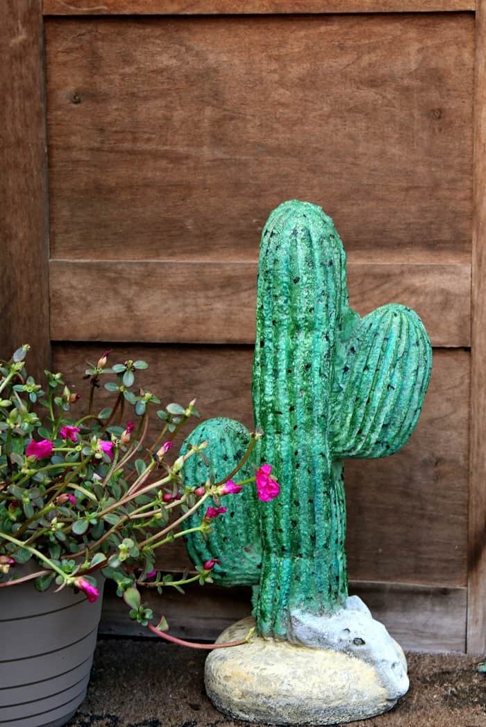 Surprising Concrete Cactus Makeover Using Watercolors