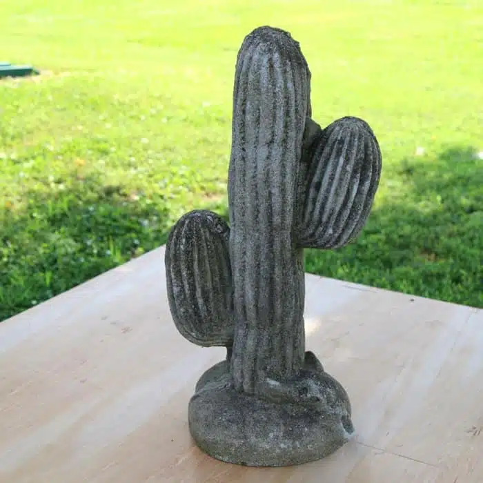 concrete cactus needs painting