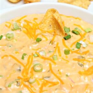 5-Ingredient-Cheesy-Green-Chile-Ham-Dip_thumb (3)