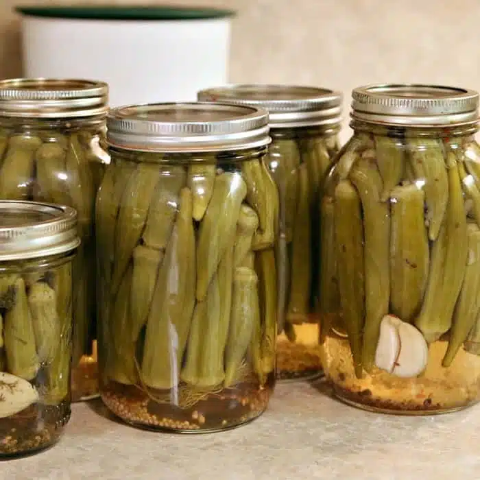 Stacey's Pickled Okra