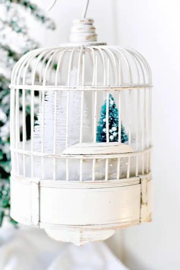 bird cage winter snow scene