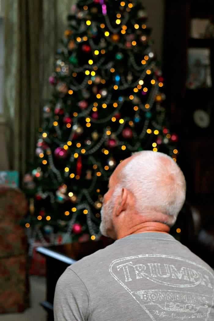 Petticoat Junktion Technical Specialist looking at the tree