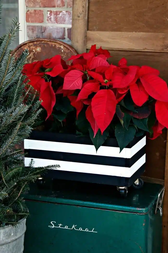 paint a wood box with black and white stripes and add a plant